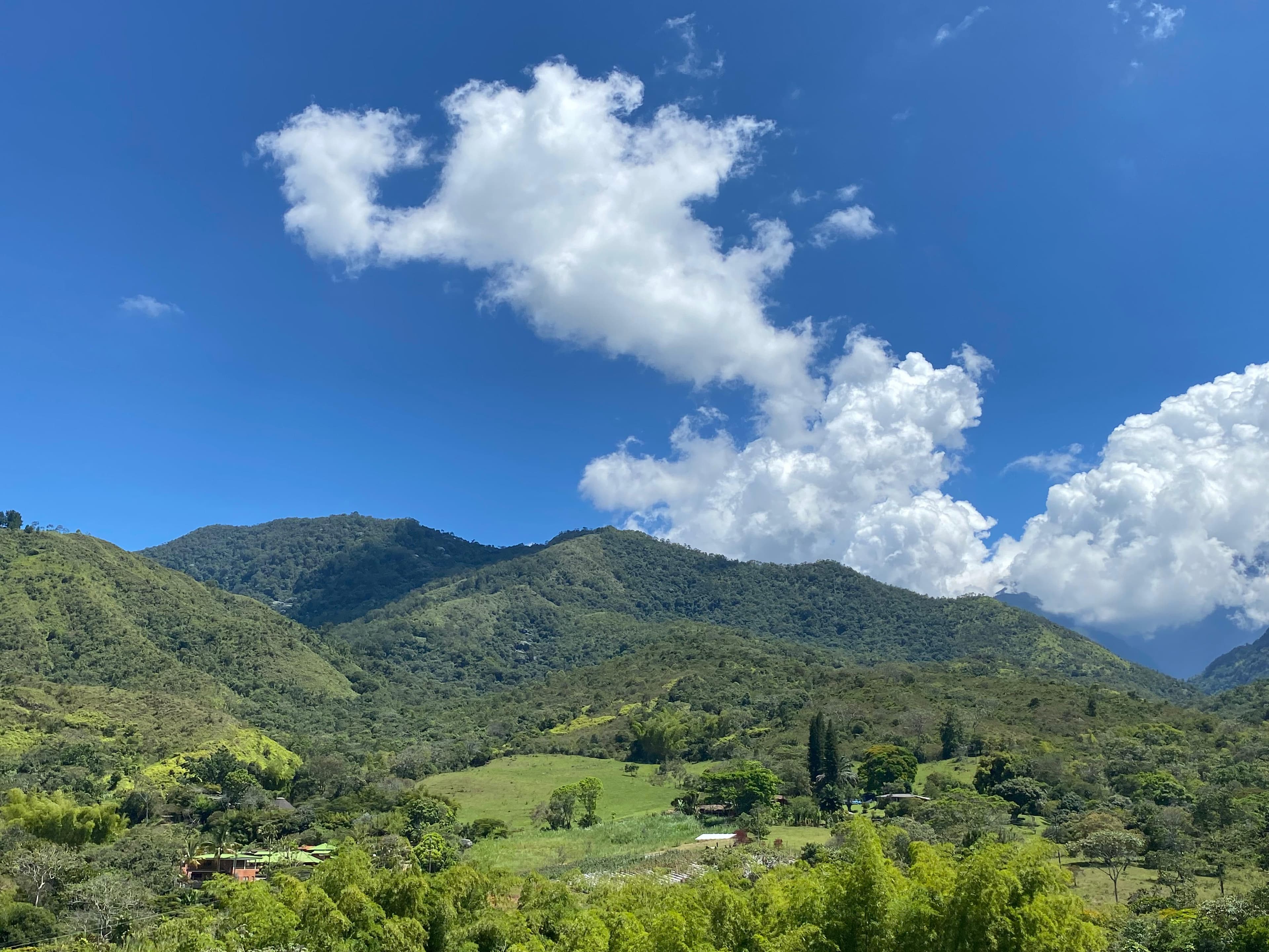 se vende lote en la voragine pance para casa campestre — foto 6
