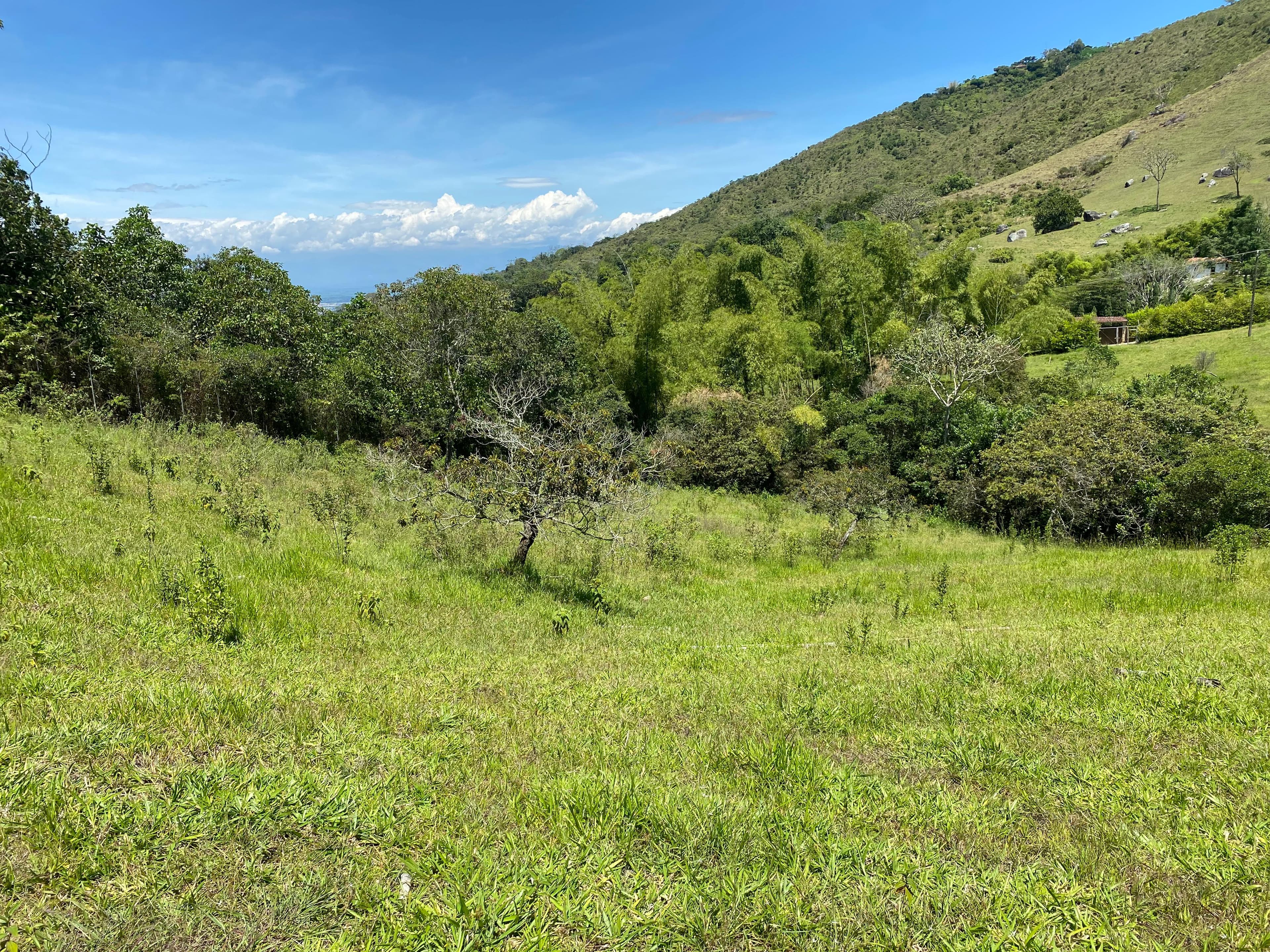 se vende lote en la voragine pance para casa campestre — foto 9