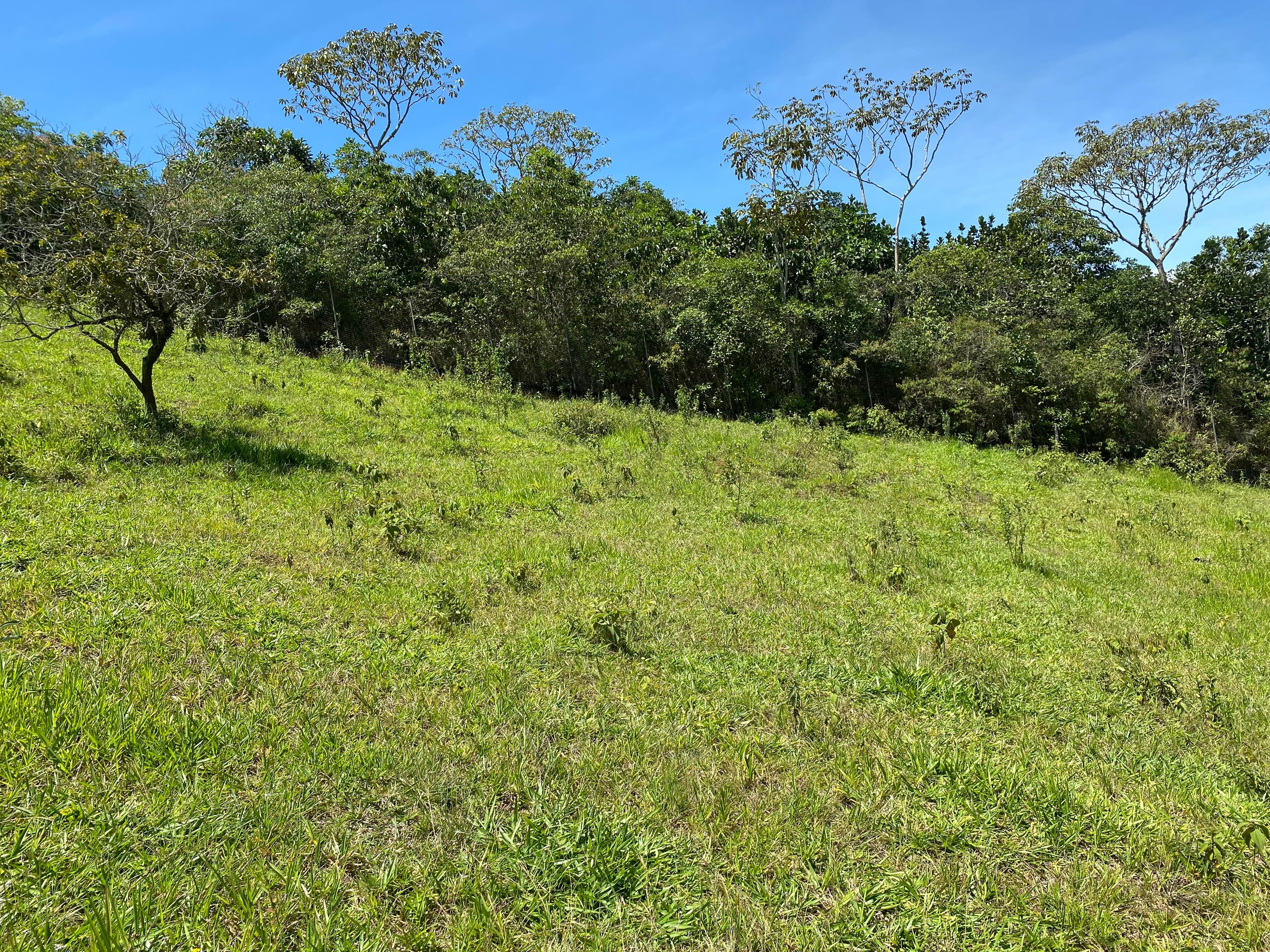 se vende lote en la voragine pance para casa campestre — foto 11