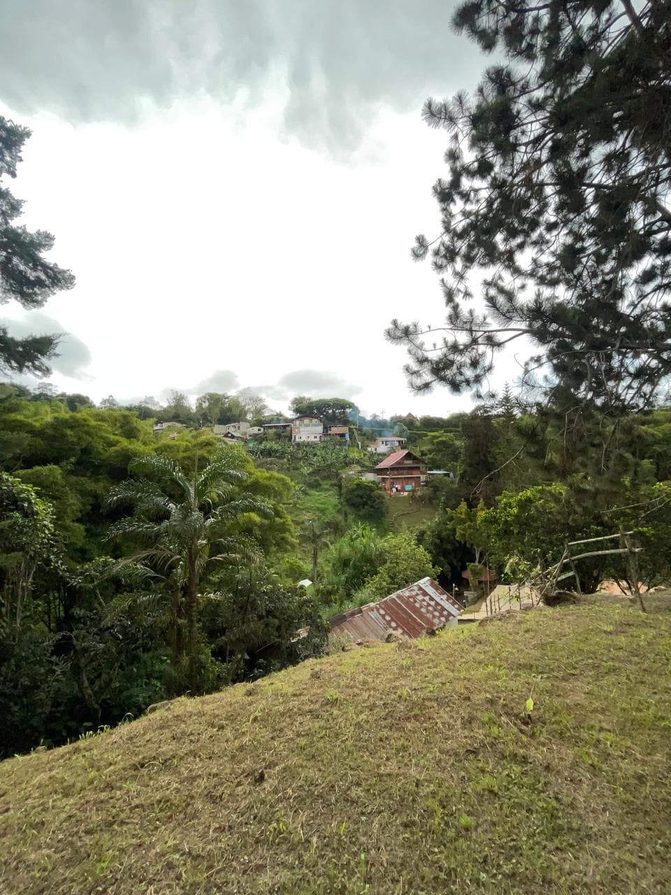 SE VENDE FINCA - VILLA GLORIA - DAGUA — foto 2