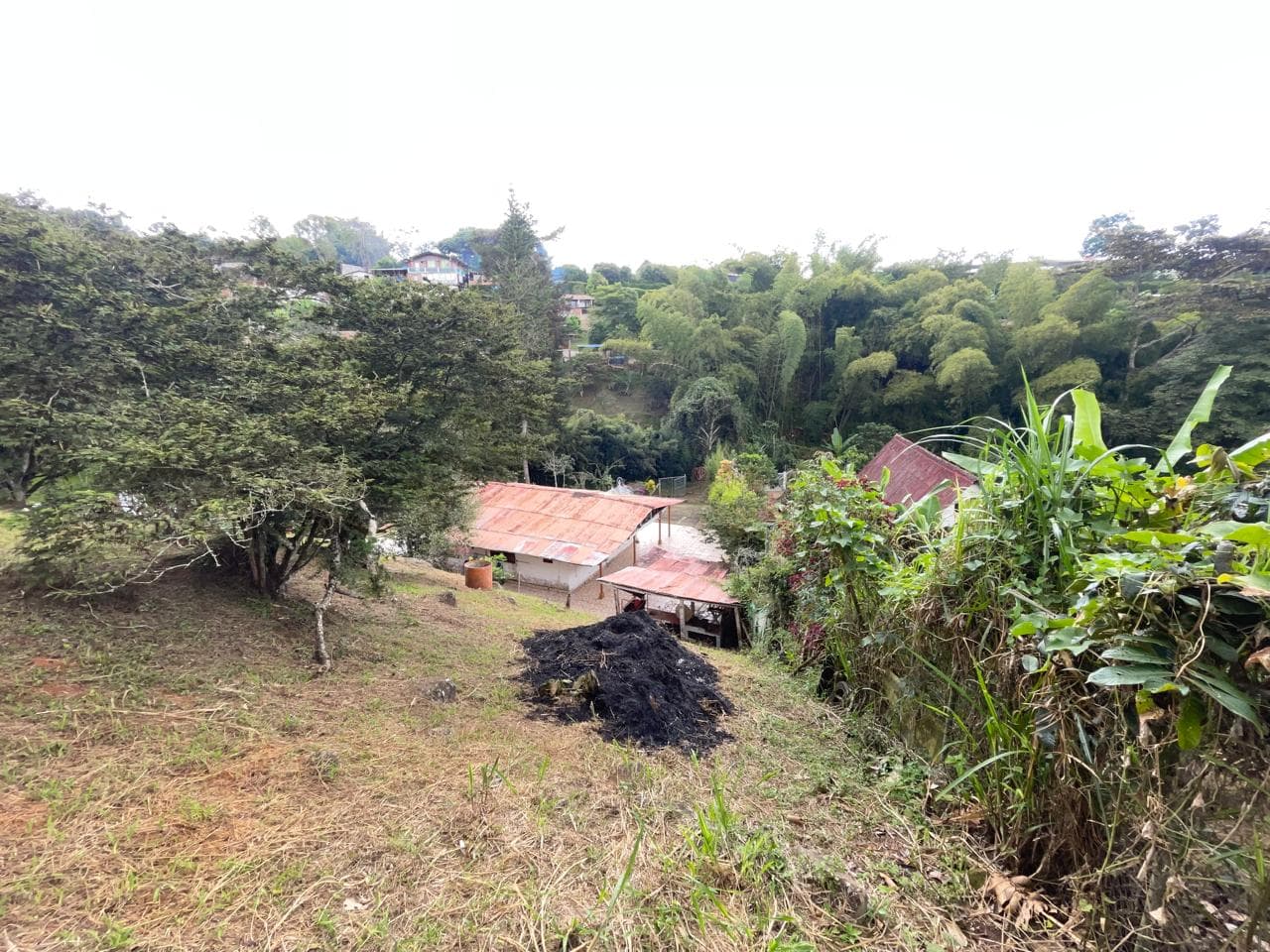 SE VENDE FINCA - VILLA GLORIA - DAGUA — foto 3