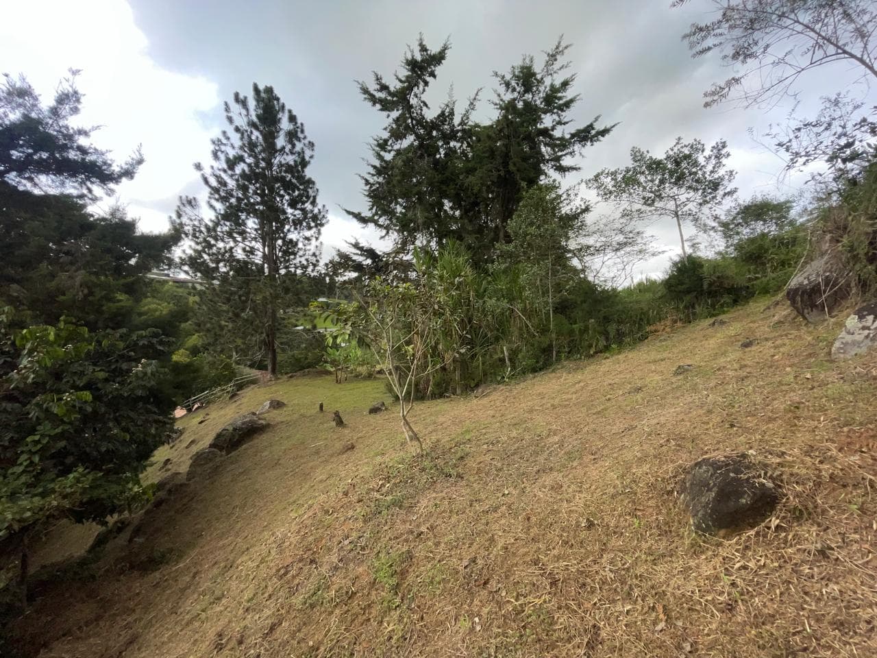 SE VENDE FINCA - VILLA GLORIA - DAGUA — foto 4