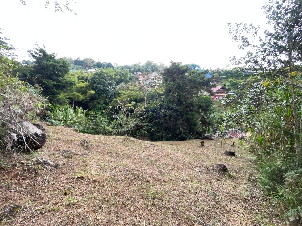 SE VENDE FINCA - VILLA GLORIA - DAGUA — foto 6