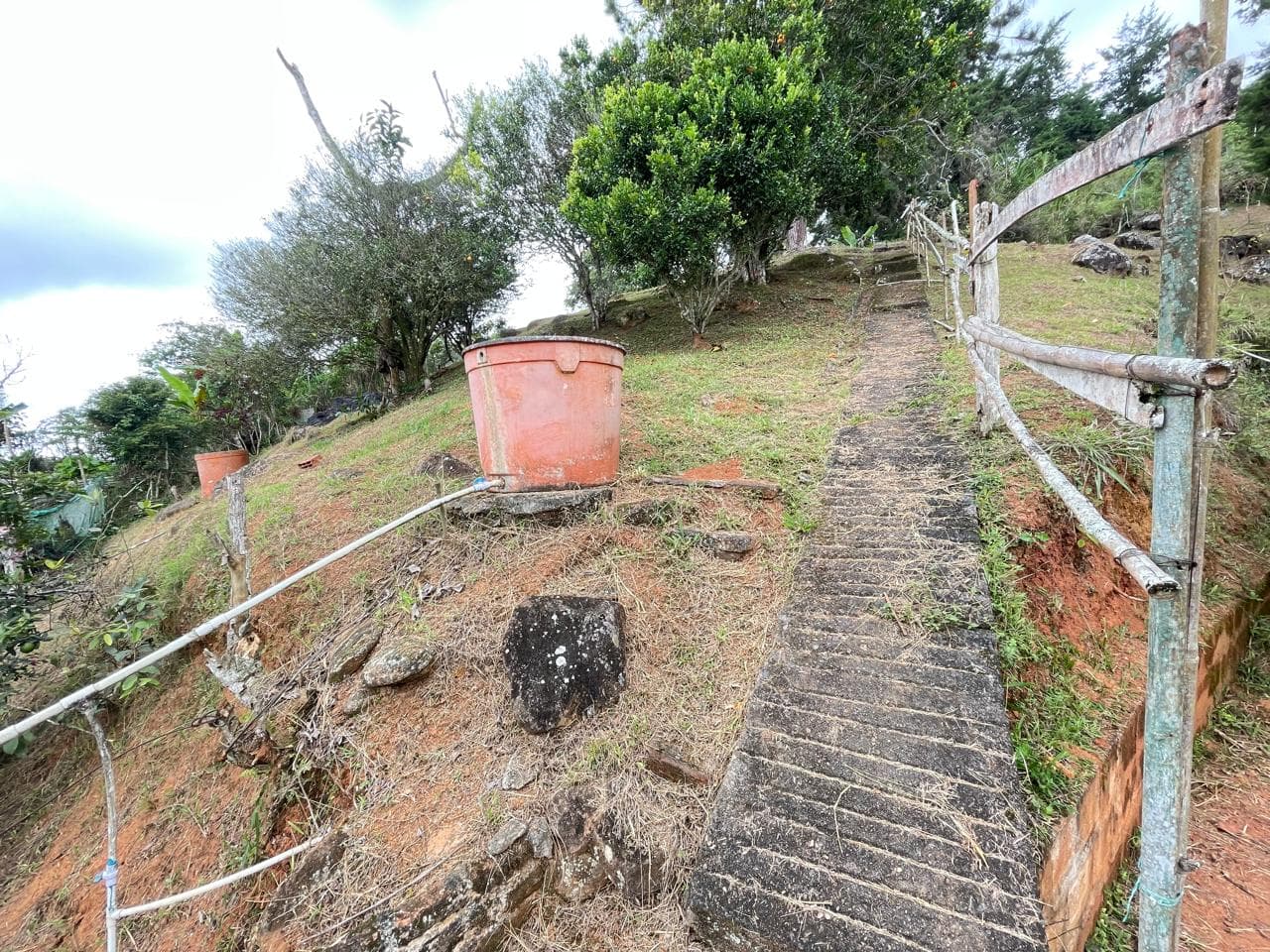 SE VENDE FINCA - VILLA GLORIA - DAGUA — foto 9