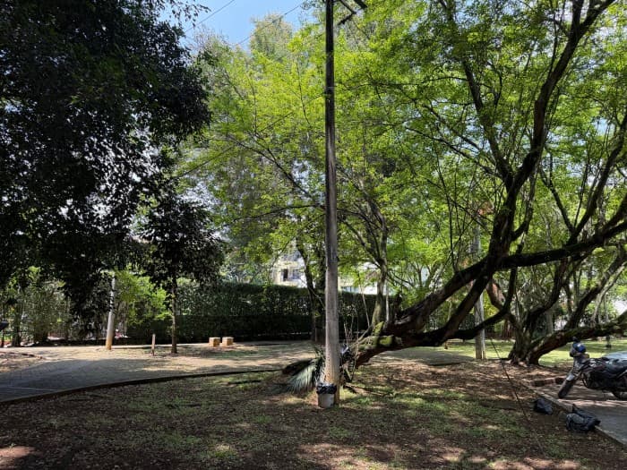 Se vende apartamento en el ingenio, — foto 2